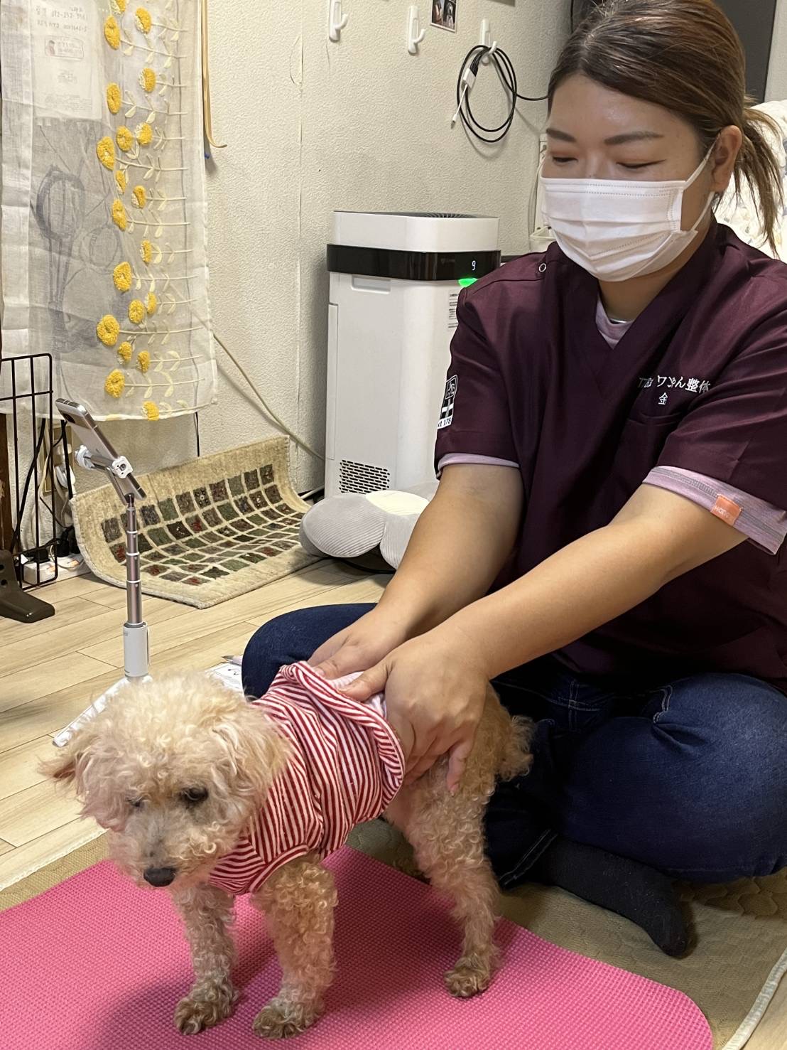 シンプル預かりプランの様子